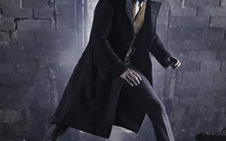 Fantastic Beasts The Crimes of Grindelwald Movie Poster With Resolution 1080X1920 pixel. You can make this wallpaper for your Mac or Windows Desktop Background, iPhone, Android or Tablet and another Smartphone device for free