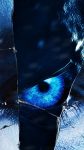 Game of Thrones 8 Season iPhone 8 Wallpaper