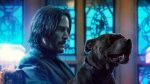 John Wick Chapter 3 Parabellum Wallpaper