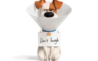 The Secret Life of Pets 2 Poster With high-resolution 1080X1920 pixel. You can use this poster wallpaper for your Desktop Computers, Mac Screensavers, Windows Backgrounds, iPhone Wallpapers, Tablet or Android Lock screen and another Mobile device