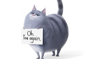 The Secret Life of Pets 2 iPhone 6 Wallpaper With high-resolution 1080X1920 pixel. You can use this poster wallpaper for your Desktop Computers, Mac Screensavers, Windows Backgrounds, iPhone Wallpapers, Tablet or Android Lock screen and another Mobile device