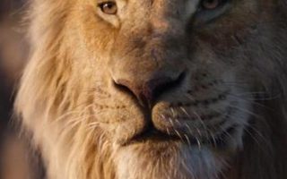 The Lion King 2019 Full Movie Poster With high-resolution 1080X1920 pixel. You can use this poster wallpaper for your Desktop Computers, Mac Screensavers, Windows Backgrounds, iPhone Wallpapers, Tablet or Android Lock screen and another Mobile device