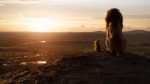 The Lion King 2019 Wallpaper