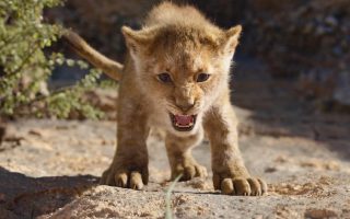 The Lion King 2019 Wallpaper HD With high-resolution 1920X1080 pixel. You can use this poster wallpaper for your Desktop Computers, Mac Screensavers, Windows Backgrounds, iPhone Wallpapers, Tablet or Android Lock screen and another Mobile device