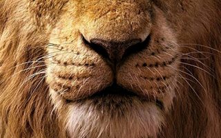 The Lion King iPhone 6 Wallpaper With high-resolution 1080X1920 pixel. You can use this poster wallpaper for your Desktop Computers, Mac Screensavers, Windows Backgrounds, iPhone Wallpapers, Tablet or Android Lock screen and another Mobile device