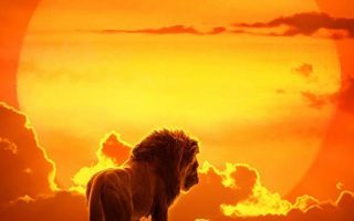 The Lion King iPhone X Wallpaper With high-resolution 1080X1920 pixel. You can use this poster wallpaper for your Desktop Computers, Mac Screensavers, Windows Backgrounds, iPhone Wallpapers, Tablet or Android Lock screen and another Mobile device