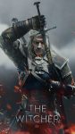 The Witcher Poster HD