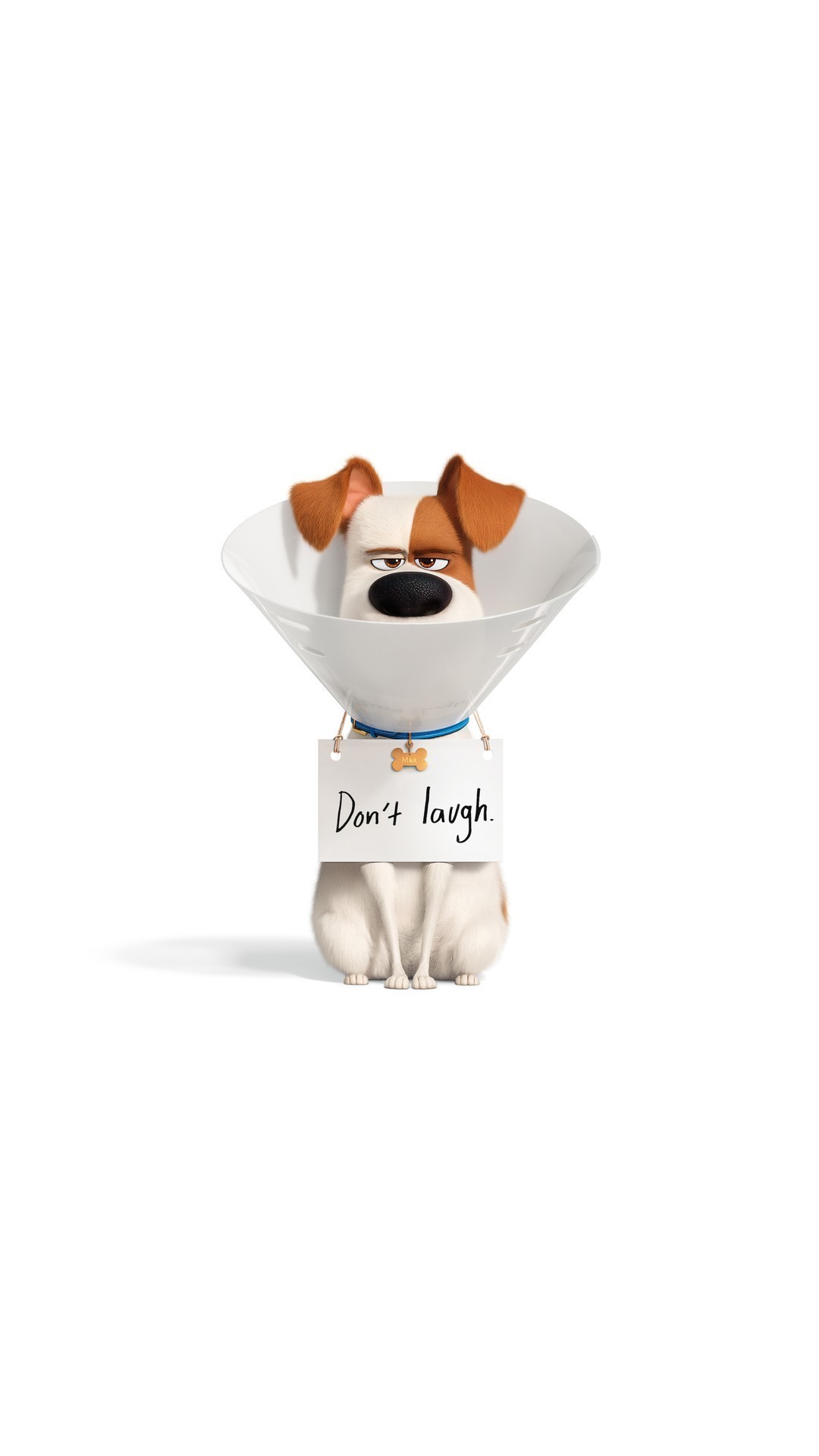 The Secret Life of Pets 2 Poster with high-resolution 1080x1920 pixel. You can use this poster wallpaper for your Desktop Computers, Mac Screensavers, Windows Backgrounds, iPhone Wallpapers, Tablet or Android Lock screen and another Mobile device The Secret Life of Pets 2 Poster with high-resolution 1080x1920 pixel. You can use this poster wallpaper for your Desktop Computers, Mac Screensavers, Windows Backgrounds, iPhone Wallpapers, Tablet or Android Lock screen and another Mobile device