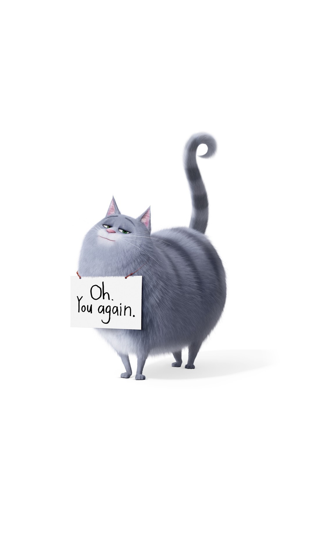 The Secret Life of Pets 2 iPhone 6 Wallpaper with high-resolution 1080x1920 pixel. You can use this poster wallpaper for your Desktop Computers, Mac Screensavers, Windows Backgrounds, iPhone Wallpapers, Tablet or Android Lock screen and another Mobile device