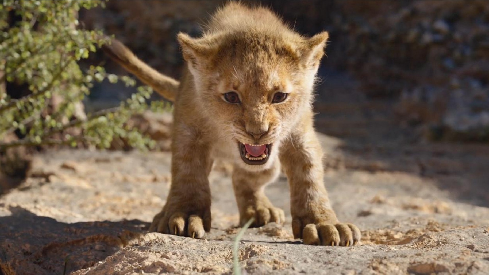 The Lion King 2019 Wallpaper HD with high-resolution 1920x1080 pixel. You can use this poster wallpaper for your Desktop Computers, Mac Screensavers, Windows Backgrounds, iPhone Wallpapers, Tablet or Android Lock screen and another Mobile device The Lion King 2019 Wallpaper HD with high-resolution 1920x1080 pixel. You can use this poster wallpaper for your Desktop Computers, Mac Screensavers, Windows Backgrounds, iPhone Wallpapers, Tablet or Android Lock screen and another Mobile device