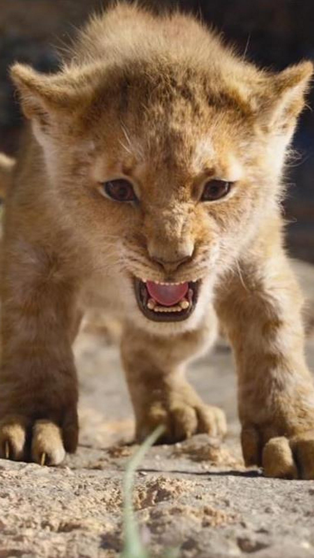 The Lion King iPhone Wallpaper with high-resolution 1080x1920 pixel. You can use this poster wallpaper for your Desktop Computers, Mac Screensavers, Windows Backgrounds, iPhone Wallpapers, Tablet or Android Lock screen and another Mobile device The Lion King iPhone Wallpaper with high-resolution 1080x1920 pixel. You can use this poster wallpaper for your Desktop Computers, Mac Screensavers, Windows Backgrounds, iPhone Wallpapers, Tablet or Android Lock screen and another Mobile device